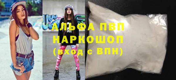индика Заволжск