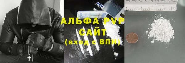 индика Заволжск
