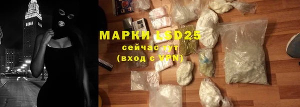 индика Заволжск