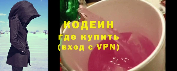 индика Заволжск