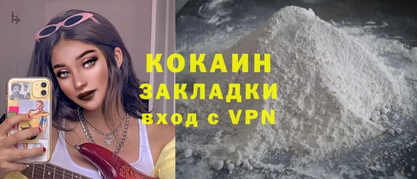 индика Заволжск