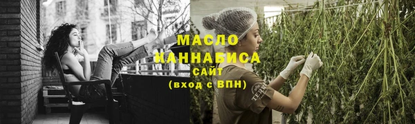 индика Заволжск