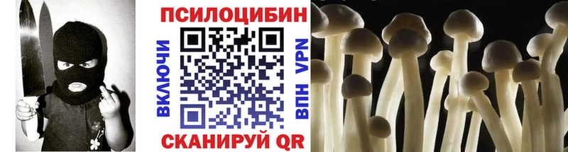 Галлюциногенные грибы MAGIC MUSHROOMS сколько стоит Майкоп